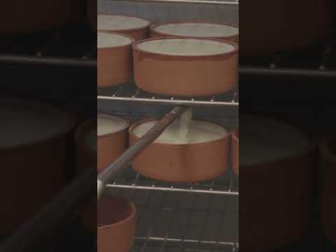 É assim que o autêntico iogurte grego é feito. #Greekyogurt #yogurt #dairy #milk