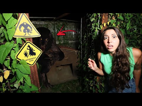 MAI ENTRARE NELLA CASA DEL LUPO MANNARO DI NOTTE CON LO SPIRITO DI HALLOWEEN!