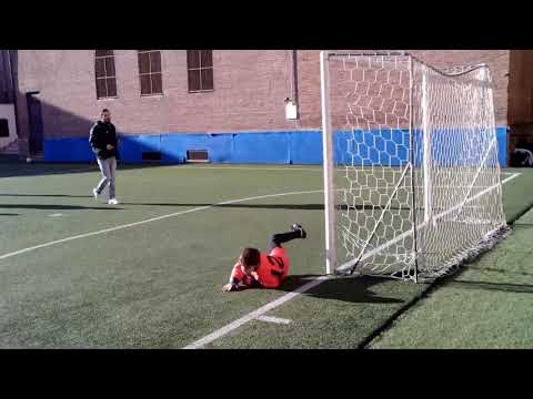 Campionato CSI UNDER 10 Orione Ognissanti - PGS Flipper - I Preparativi