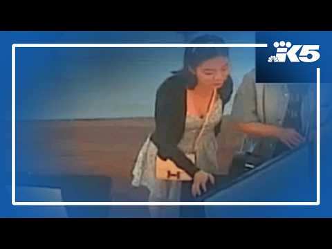 Woman allegedly spied on Taiwanese officials in Seattle, court ...