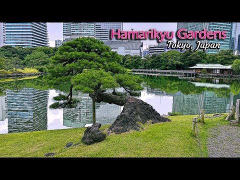 Hamarikyu Gardens | Tokyo, Japan | 2023 | Day 7