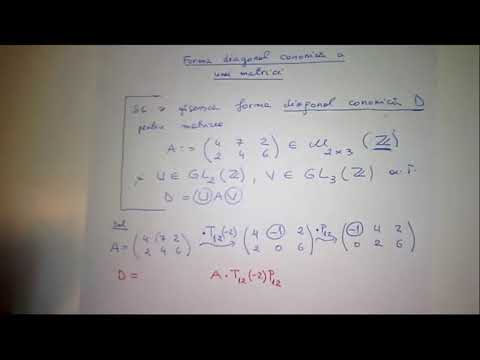 Diagonalizarea unei matrici: exercitiu model