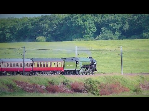 60163 Tornado Speeds South - The White Rose - 2015