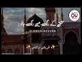 Ishq Ke Rang Main Rang Jao Mere Yaar Slowed Reverb Sheikh Anam Lofi Naat Qureshi Writs