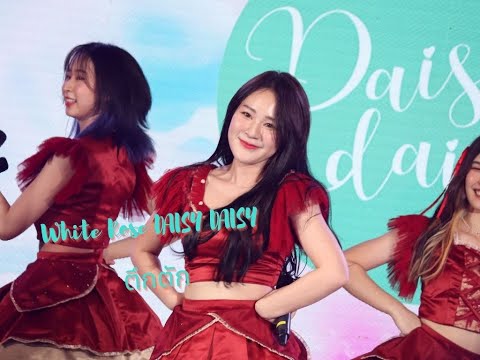 [Fancam] White Rose DAISY DAISY- ตึกตัก DAISY DAISY @TGGFestival Fashion Island