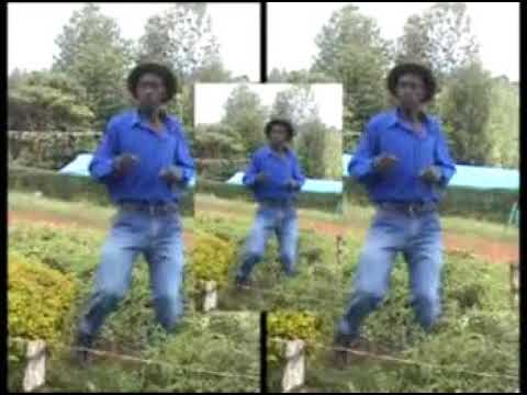 Ngogoyo Master - Therera Ngoro