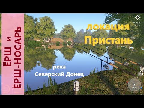 Фото Русская рыбалка 4 - река Северский Донец - Ёрш и ёрш-носарь на яме