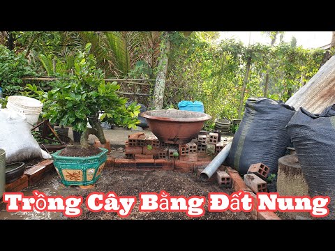 Trồng Cây Trong Chậu Bằng Đất Nung - 03/09 ÂL