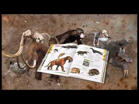 Upphafið, forsaga lífsins