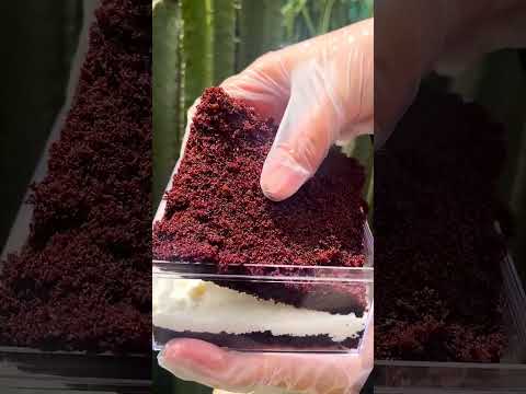 TURKISH DESSERT BOX BIKIN NGILER!!!