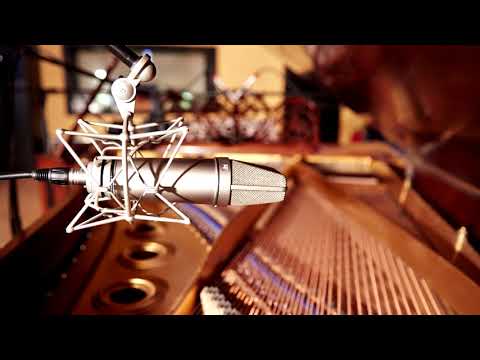 Diese 3 - Tokio NMDS 2