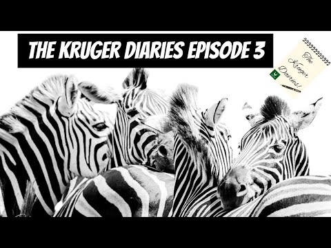 The Kruger Diaries - Episode 3