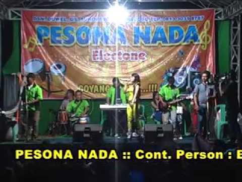 Rina Amelia   Oleh - oleh   Pesona Nada Sukorejo Rejoso Tahun Baru 2016