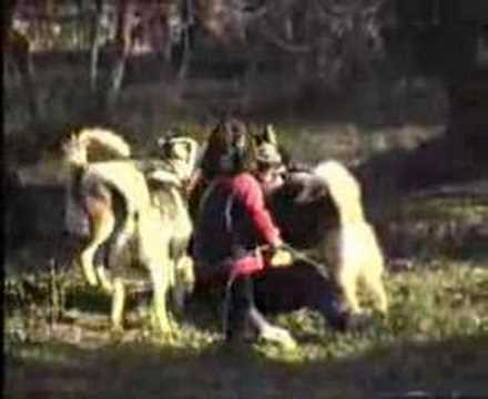 Andrea Scotti e i suoi splendidi e amati  husky