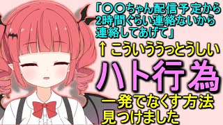 【革命】うざいハト行為を簡単になくす方法を発見した息根とめる(の姉)【呼吸ちゃん/切り抜き】