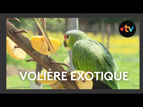 La volière exotique du parc "Coq à l'âne" dans les Deux-Sèvres