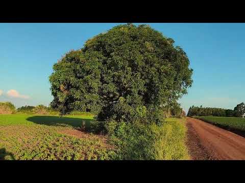 Paraguay - Trinidad, Itapua - Fernblick "auf dem Lande" - Spätsommer 08.03.2026