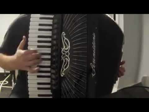 Serenellini Professional Imperator new