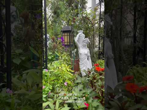 一年中花を咲かせる観葉植物は何ですか?美しい季節を自宅で過ごすためのトップ 6!  庭園