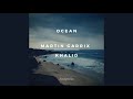 Martin Garrix Feat Khalid Ocean Acapella