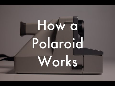How Does a Polaroid Work?