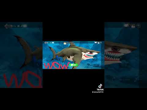 Superman the megalodon 🤩🤩⭐⭐😎⭐🌟✨💫💫💫💫💫💫💫💫💫💫💫💫💫💫💫💫