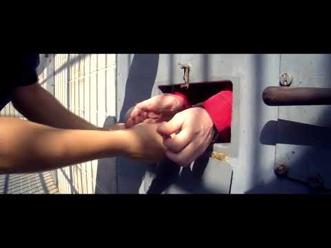 P.D.W. trzymajcie się Ludzie