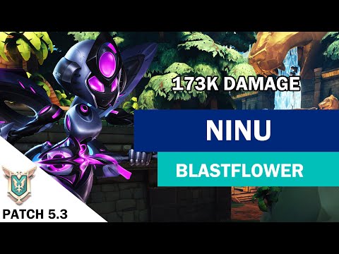 173K Damage Ninu Willo Competitive (Pro Player) BLASTFLOWER