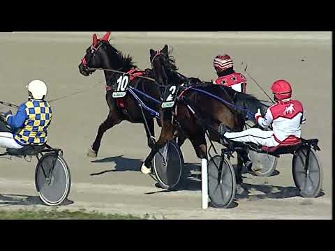 Napoli Trotto 03/02/2023 - 1ª corsa