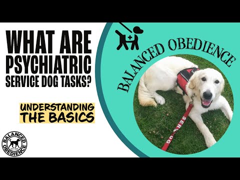 Balanced Obedience video.