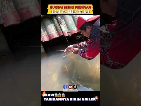 big eel fishing techniques in big rivers, wow got a big eel