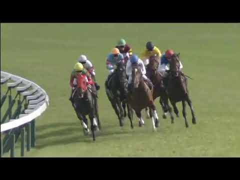 2018.10.14 Shigiku Sho (JPN) - Admire Justa