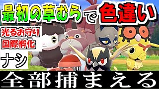 【ポケモン剣盾】最初の草むら色違い全部集めると人はどうなるのか？【検証】