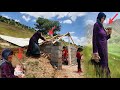 Heart Shelter: Mother Continuous Care of Her Orphaned Hearts in Mountains
