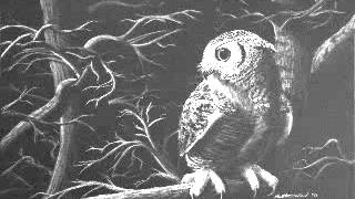 Blue Foundation - Jabber