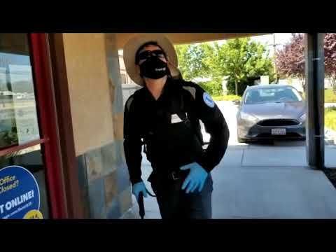 How I do a General Pest Control Treatment - Around your Business