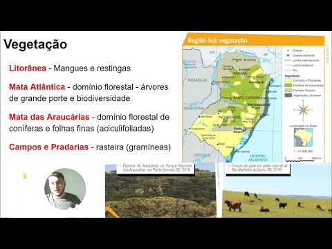 Região Sul   Aspectos Naturais