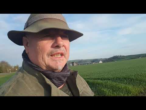 Moselsteig Etappe 18 Cochem nach Beilstein