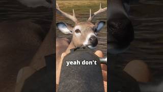 Download lagu He just stood there and TOOK IT 😫🦌🔫 | theHunter: Call of the Wild mp3 Download lagu He just stood there and TOOK IT 😫🦌🔫 | theHunter: Call of the Wild mp3