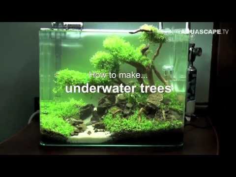 Aquascaping - How to make trees in planted aquarium