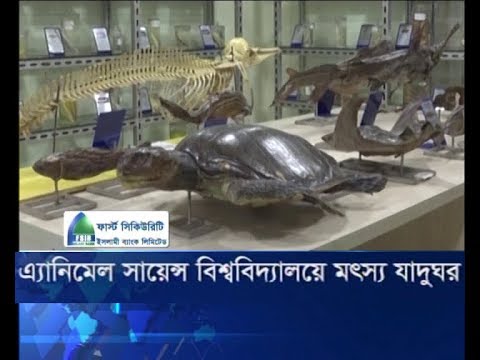 এ্যানিমেল সায়েন্স বিশ্ববিদ্যালয়ে মৎস্য যাদুঘর