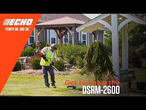 Echo DSRM-2600BT Bare Tool in Saint Marys, Pennsylvania - Video 2