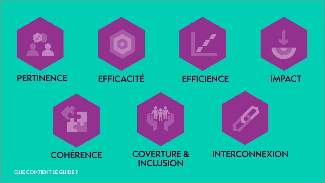Adaptation des critères OCDE pour l'évaluation de l'action humanitaire | Guide D’ALNAP