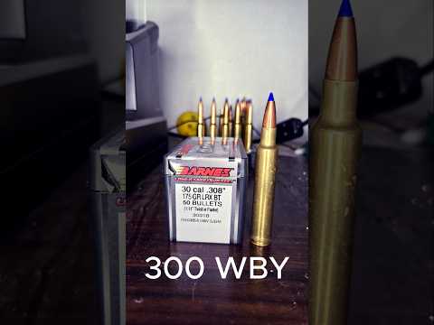 HORNADY .223 SOFT POINT- DO THEY HOLD UP?
