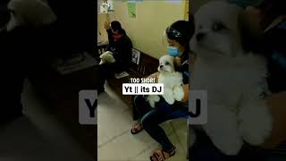 Download lagu Life Is Too Short || its DJ || #shorts #itsdj #motivation #quotes mp3