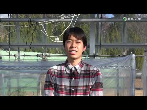 広島大学生物生産学部　応用動植物科学プログラム　学生インタビュー