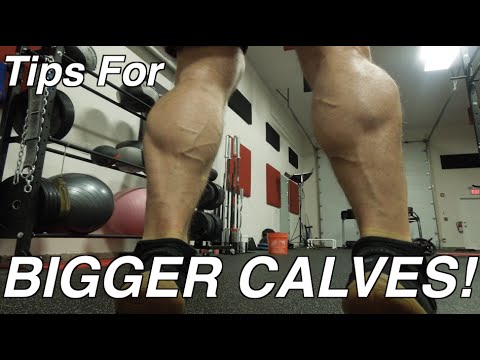 Muscular Strenght Title