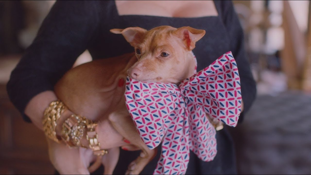 Roger Vivier - Jewels to Shoes - Lesson 1