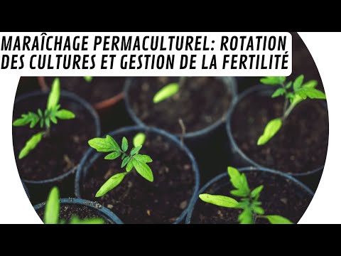 , title : '🚜 Maraîchage permaculturel : rotation des cultures et gestion de la fertilité 🌼'