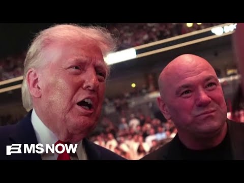 'DEEPLY corrupt': Lawsuit takes aim at Trump, attempts to stop UFC fight at White House